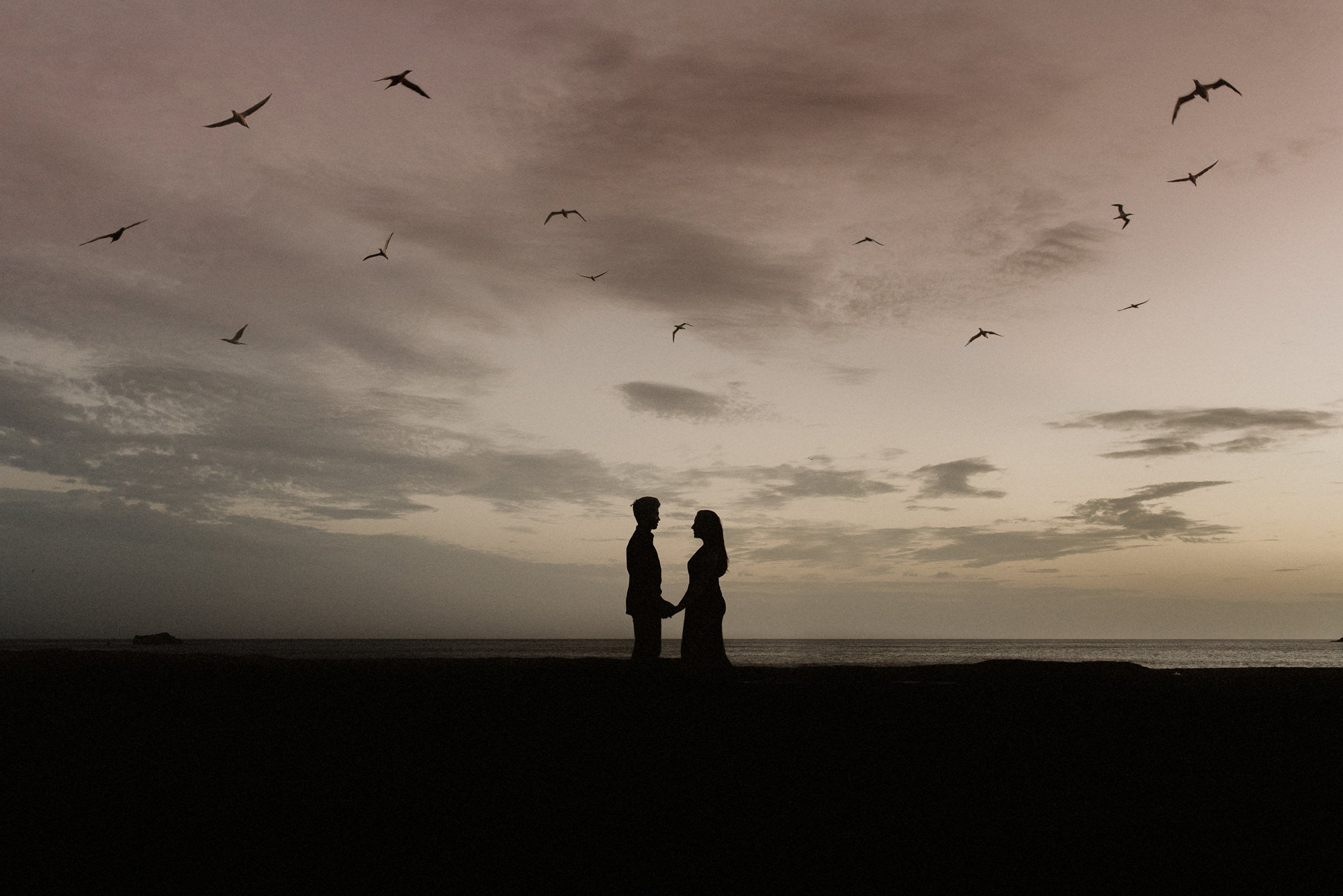 A silhouette of a couple with birds flying above them on the rocks at Muriwai Beach in Auckland
