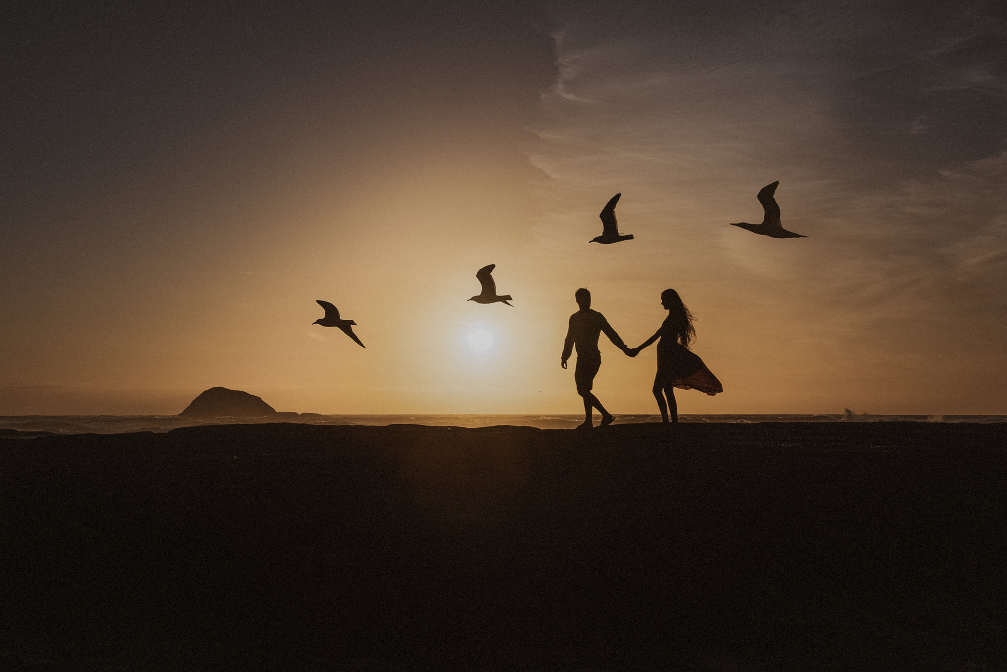A silhouette of a couple walking along Muriwai Beach in Auckland at sunset with birds from the gannet colony flying overhead
