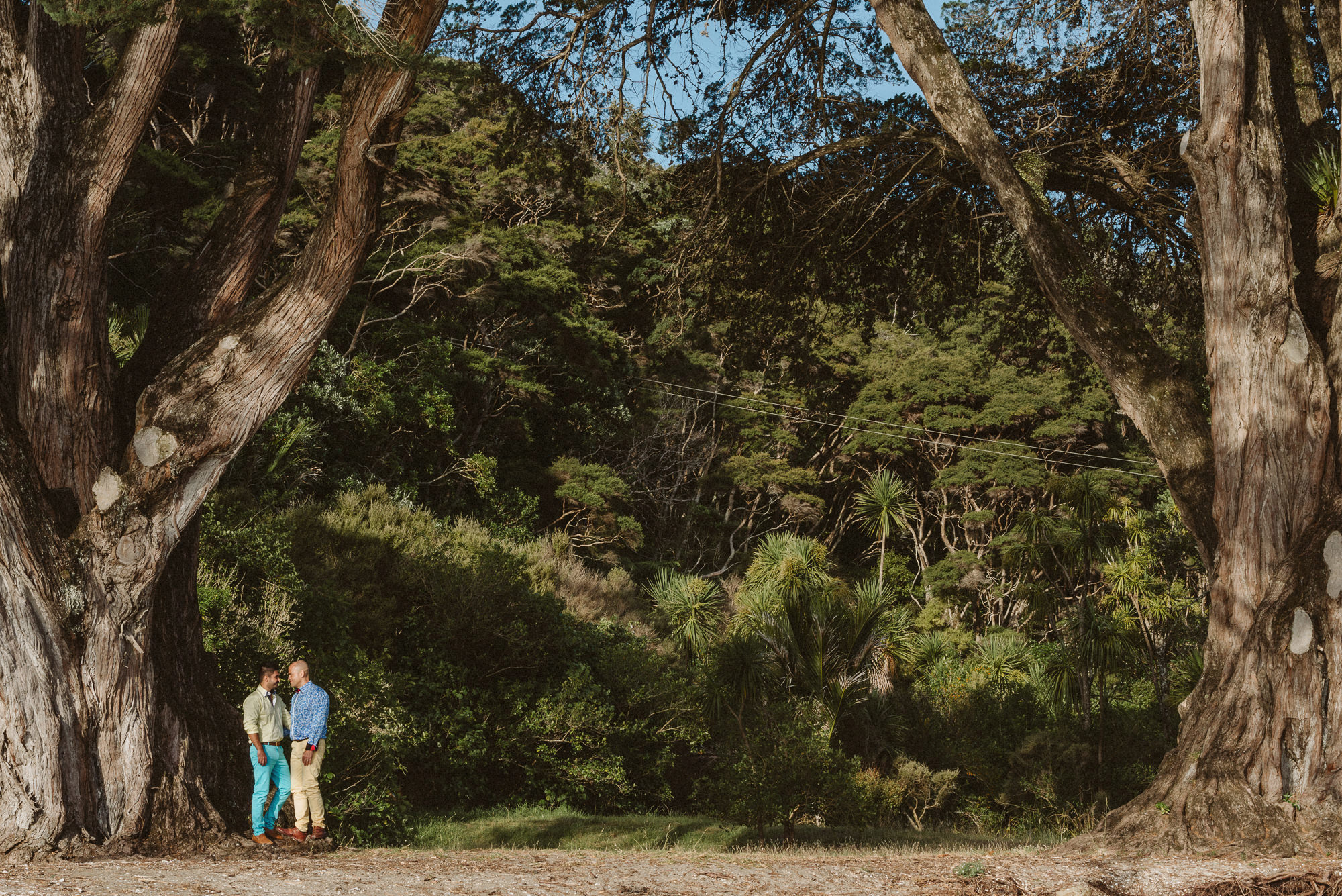 A couple embrace under some trees